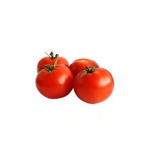 طماطم كويتية